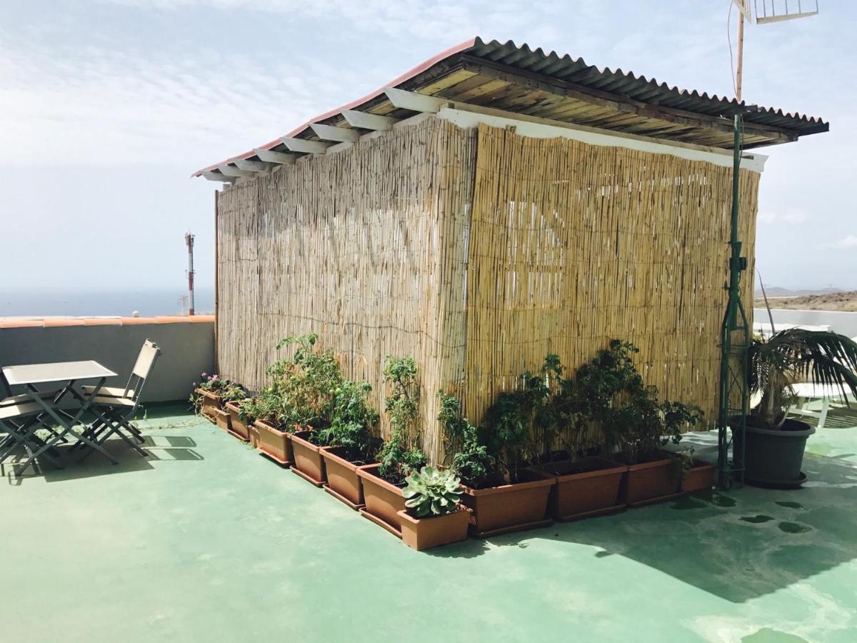 Wifi Tenerife Sur Guest House Granadilla De Abona Exterior foto