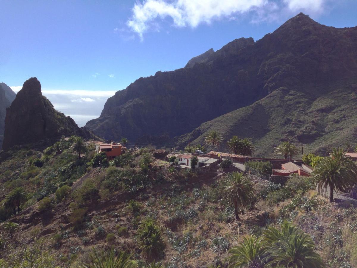 Wifi Tenerife Sur Guest House Granadilla De Abona Exterior foto